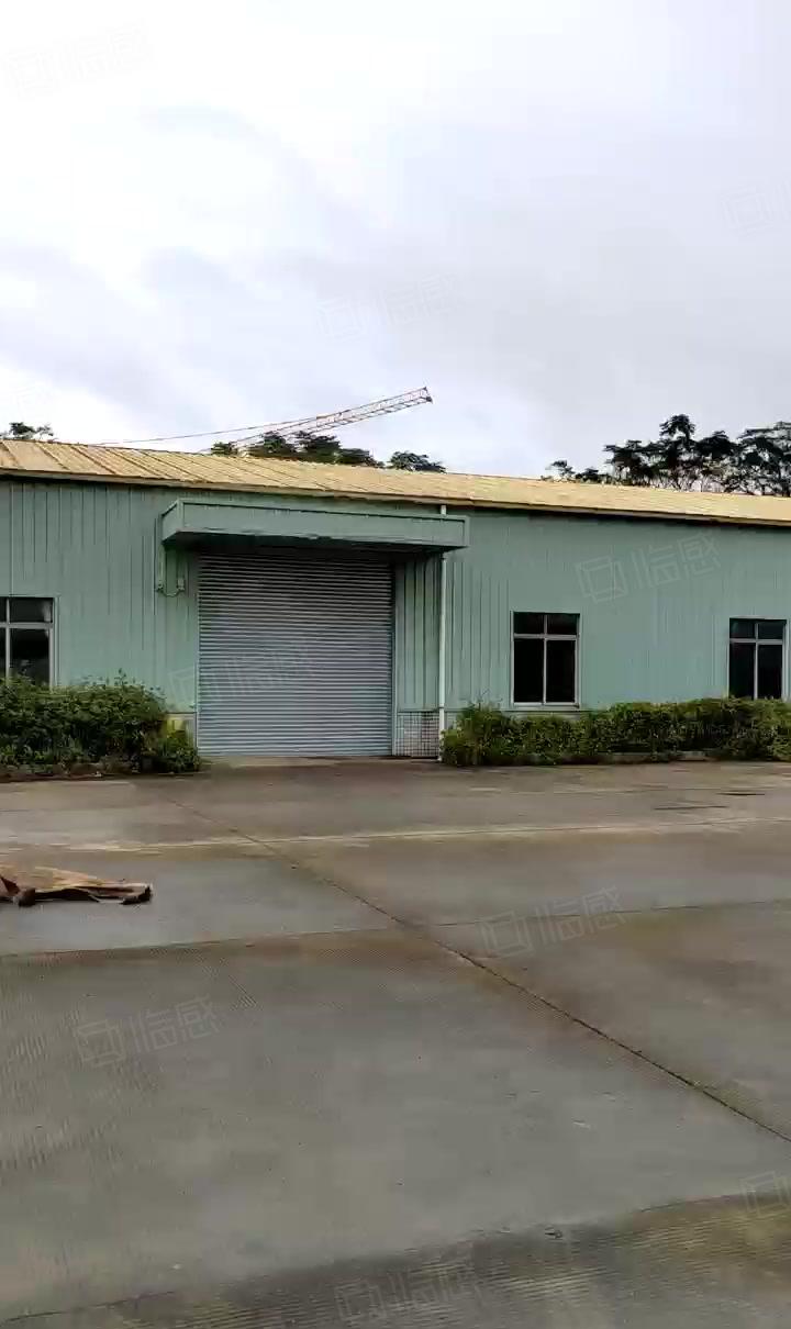 大进工业园低价新出超大空地单一层独院厂房出租