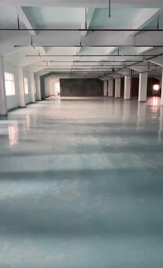 塘厦石鼓楼上标准厂房2600平大小可分租，消防喷淋，现成装修