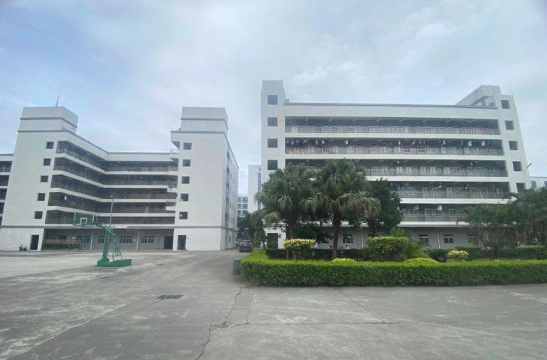 一房东！一楼！19元 ! 靠深圳1300可分租