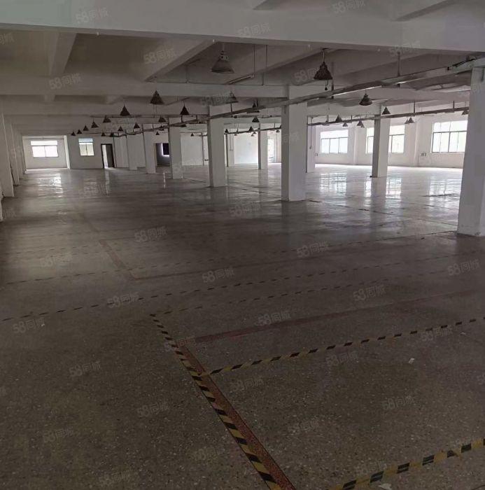 横塘3楼2380方 价格14块14块14块可分租 拎包即可入