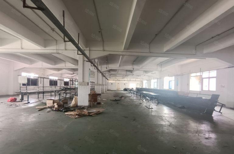 塘厦独院新出楼上1760平标准厂房，带装修水电拎包入近高速