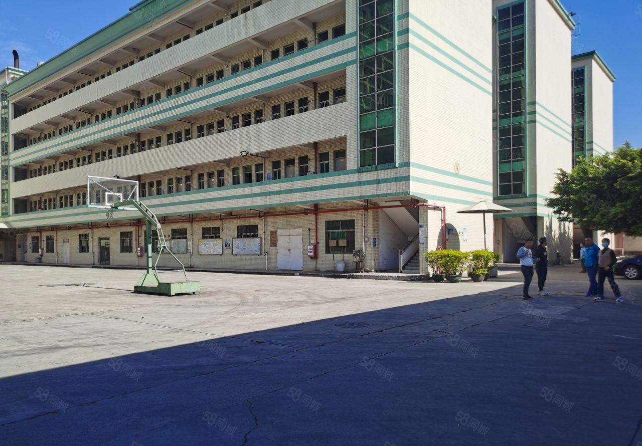 塘厦镇诸佛岭新出独院厂房4650出租可分租