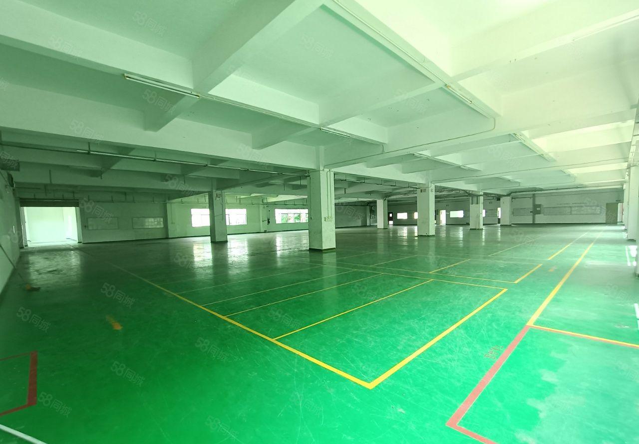 塘厦高速口花园式15000平独院厂房出租，装修环境好，空地大