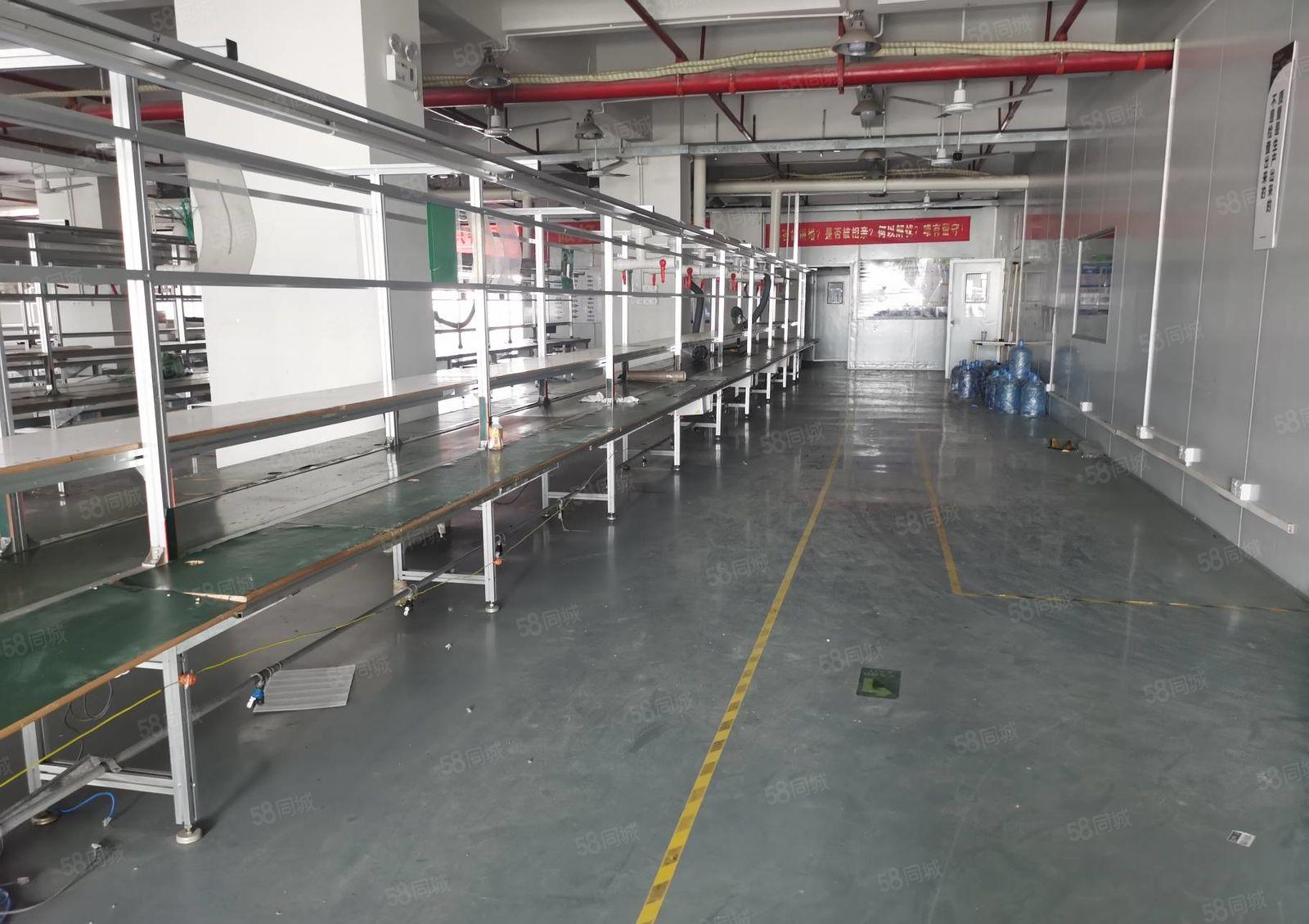 塘厦诸佛岭原房东楼上2300平米带装修厂房，拎包入驻