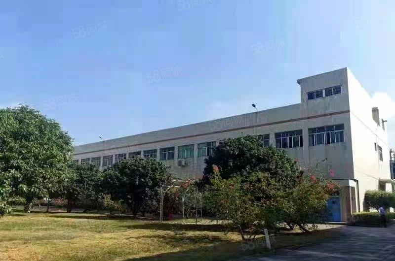 原房东 塘厦科苑城楼上2000平方带装修厂房仓库出租