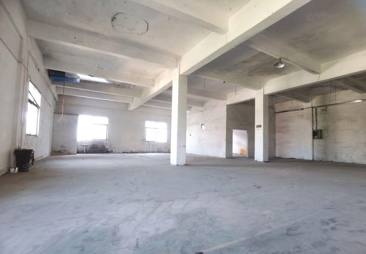 塘厦新出原房东厂房2650平，园区空地大，停车位充足