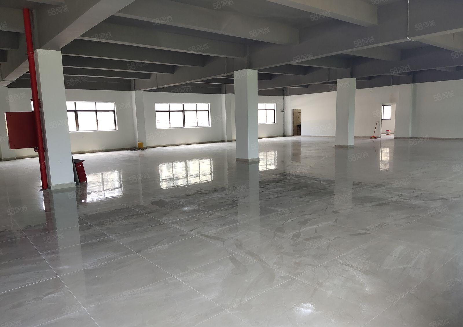 塘厦田心工业区独栋1000平原房东红本楼上仓库厂房出租可分租