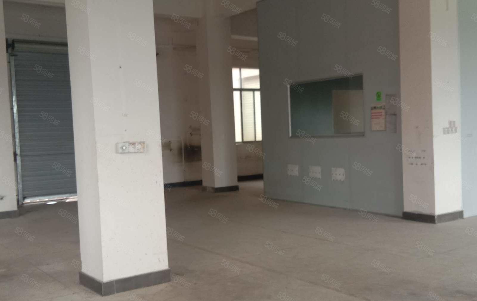 货车可直接开到厂门口，大坪临深新出1楼1000平方厂房出租