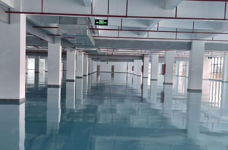 500平起10块单层5000平一房东独院8万平厂房仓库出租