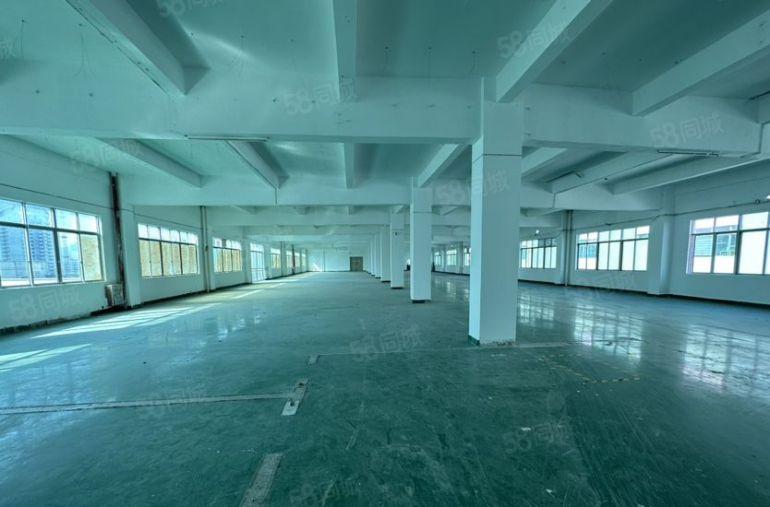 塘厦中心楼上1200平仓库厂房特价13元，格局实用原房东出租