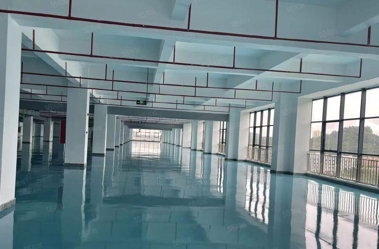 500平起10块单层5000平一房东独院8万平厂房仓库出租