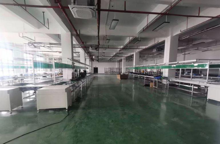 塘厦临深红本厂房尾盘低价出租！带装修水电消防喷淋3吨货梯拎包