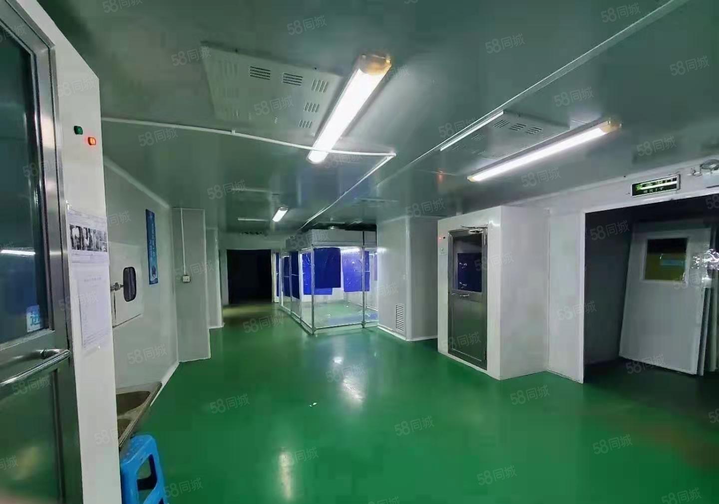 塘厦 科苑城新出原房东红本独院4200平厂房仓库出租大小分租