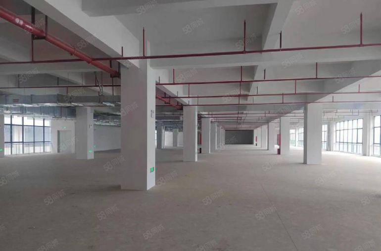 塘厦凤凰岗东深二路旁，原房东新建厂房2万平直招，可分租