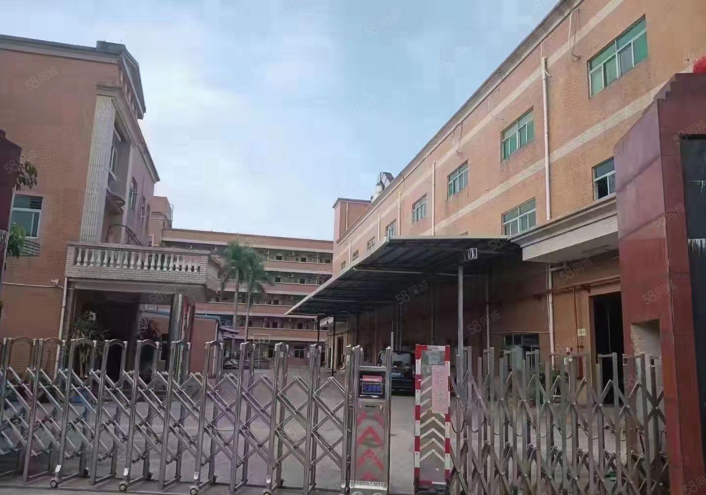 塘厦石鼓新出独门独院10000平厂房出租，高速近大车进出方便