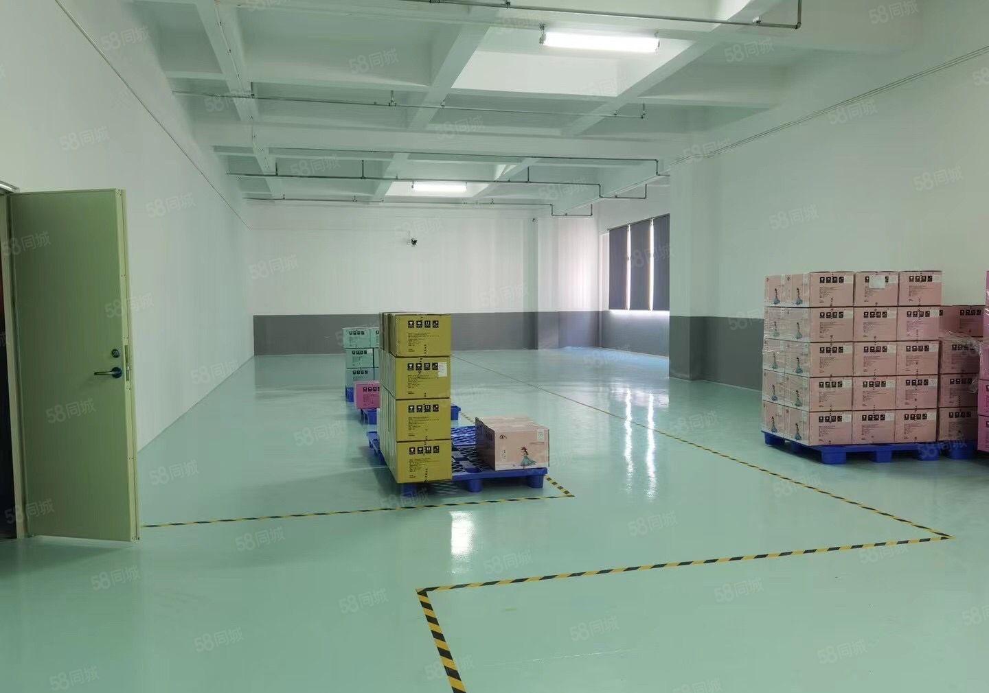 塘厦莆心湖工业区新出三楼2650平方全新装修可分租