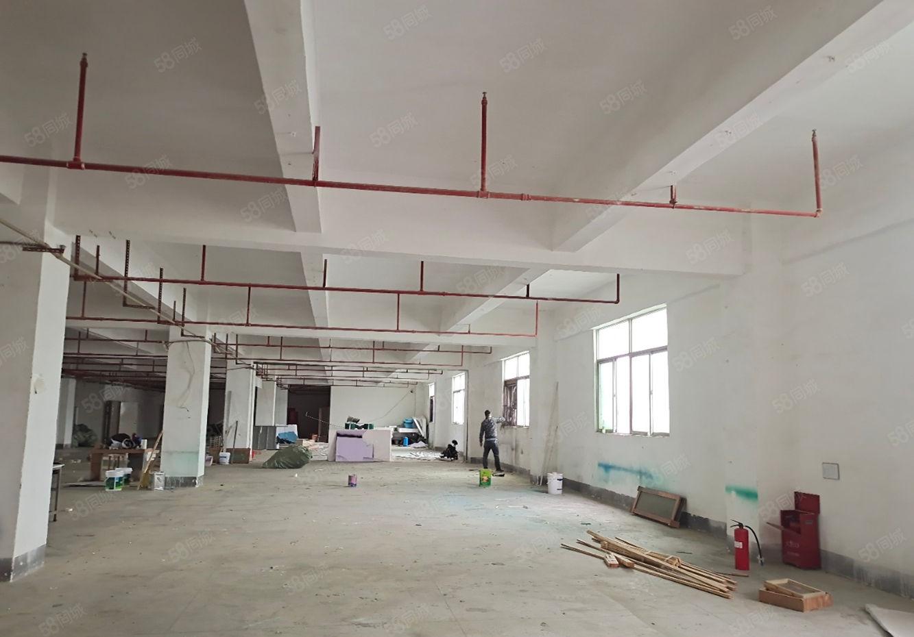 原房东 沙湖靠深圳 标准厂房带办公装修园区形象好空地大