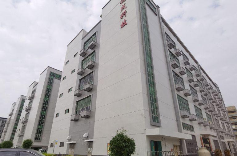 超低价塘厦原房东8000平厂房出租仓库现成办公室装修