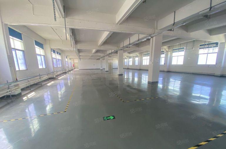 塘厦科苑城标准楼上980平方！无公摊！蹭亮地坪漆精装修