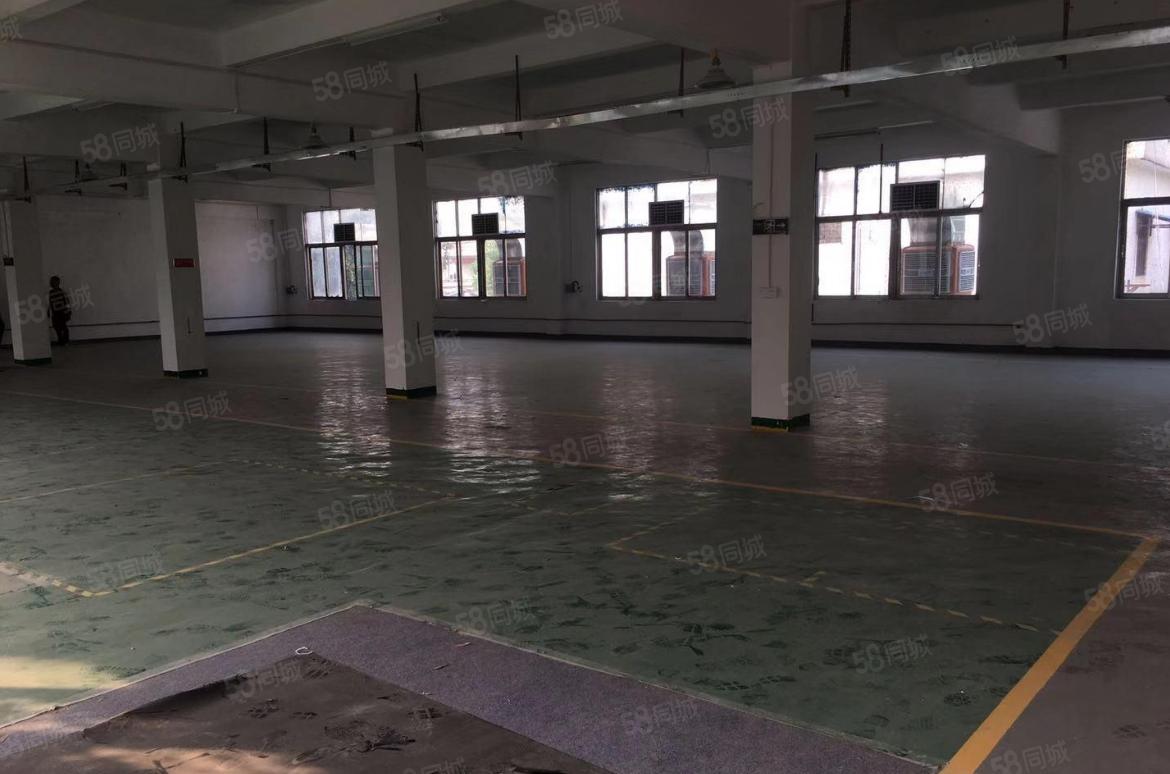 塘厦田心独栋标准两层1900平，园区厂房带装修，形象好。