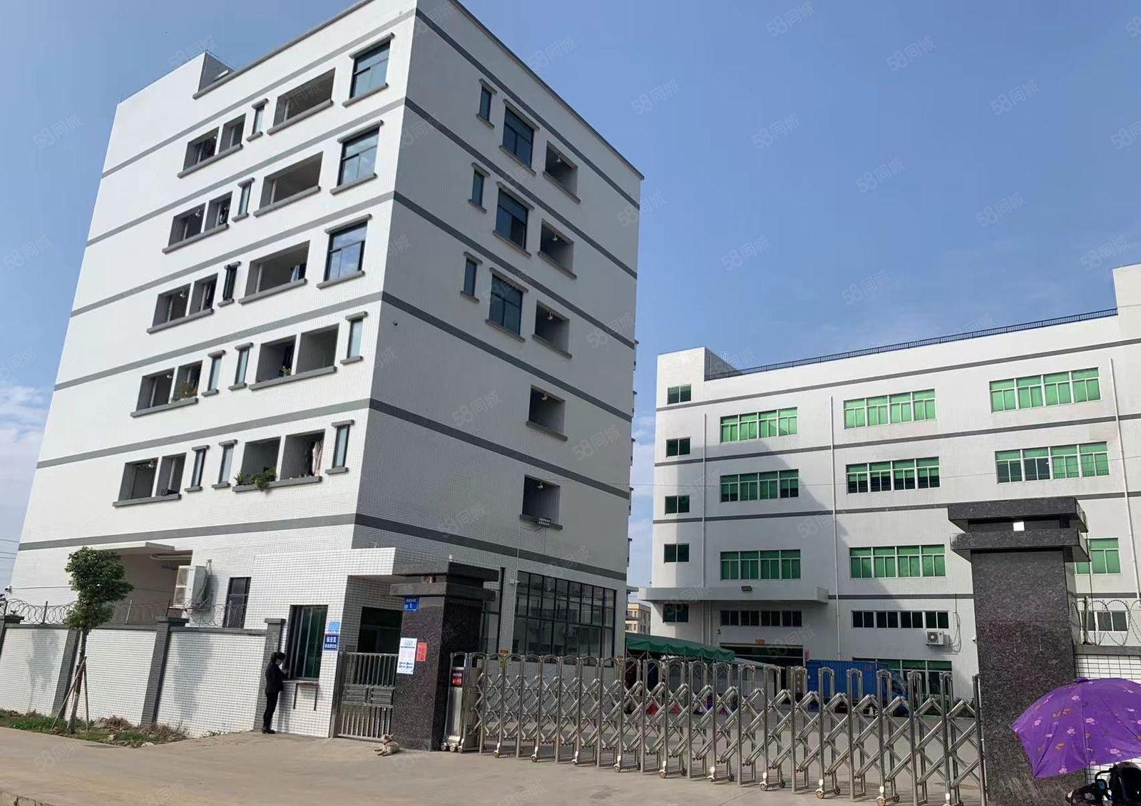 本地房东自建厂房大小出租！一楼6.5米配电大近林村高速配套全