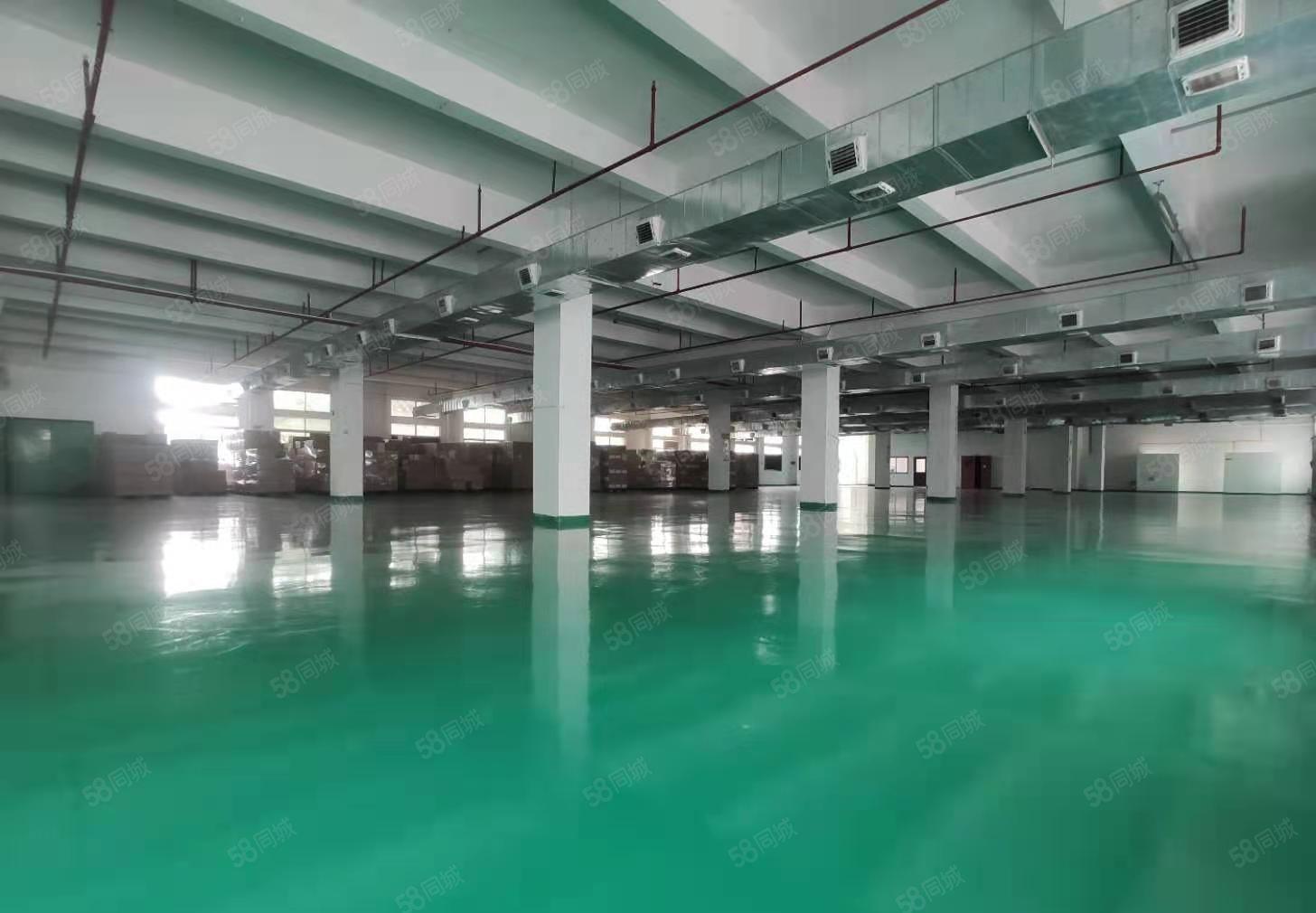 塘厦密集工业区原房东自用厂房分租三楼豪华装修水电到车间现房