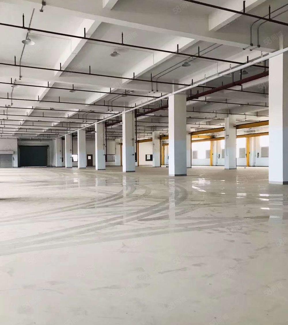 塘厦科苑城8000平独院厂房出租 标准厂房分租单层2000平