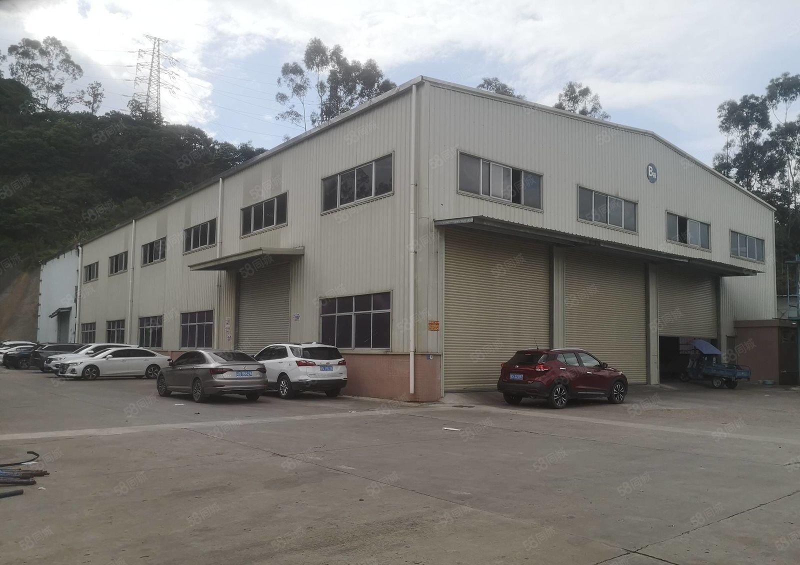 塘厦镇大坪新出单一层钢构1800平独院出租 滴水9米带装修