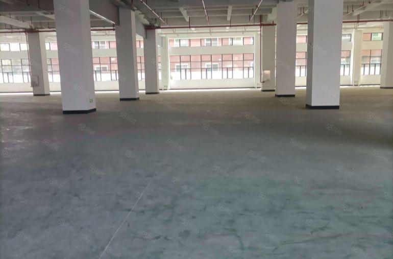 塘厦镇环市南路边全新红本工业园标准一楼和二楼以上厂房分层出租