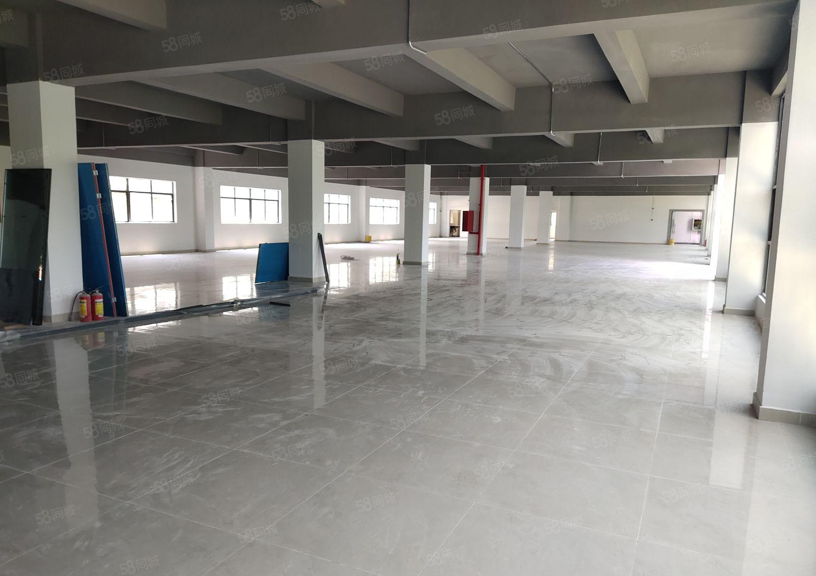 塘厦田心工业区独栋1000平原房东红本楼上仓库厂房出租可分租