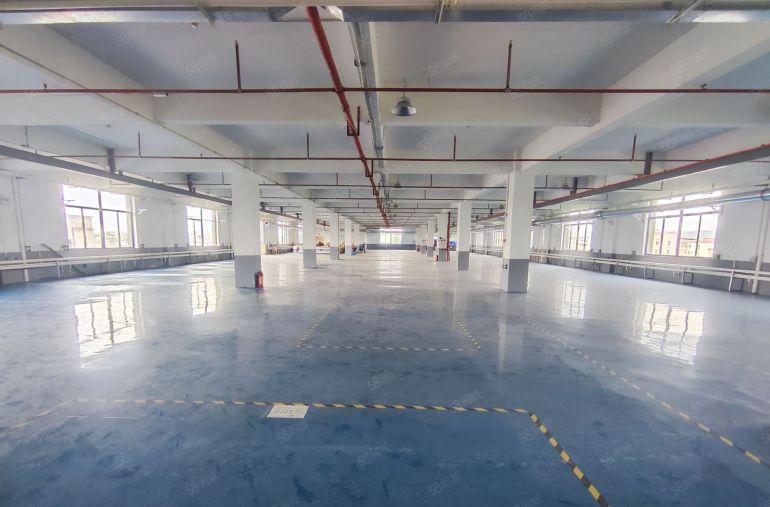 塘厦本地原房东新出标准独院带牛角适合五金注塑电子包装设备加工