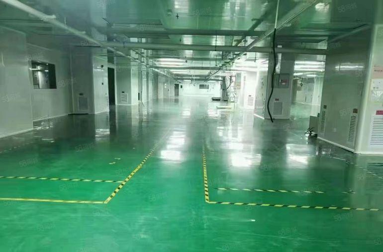 新出楼上整层2000平精装修无尘车间拎包入驻 原房东实际面积