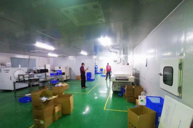 低价独院厂房   总面积10000平 空地超大 形象好