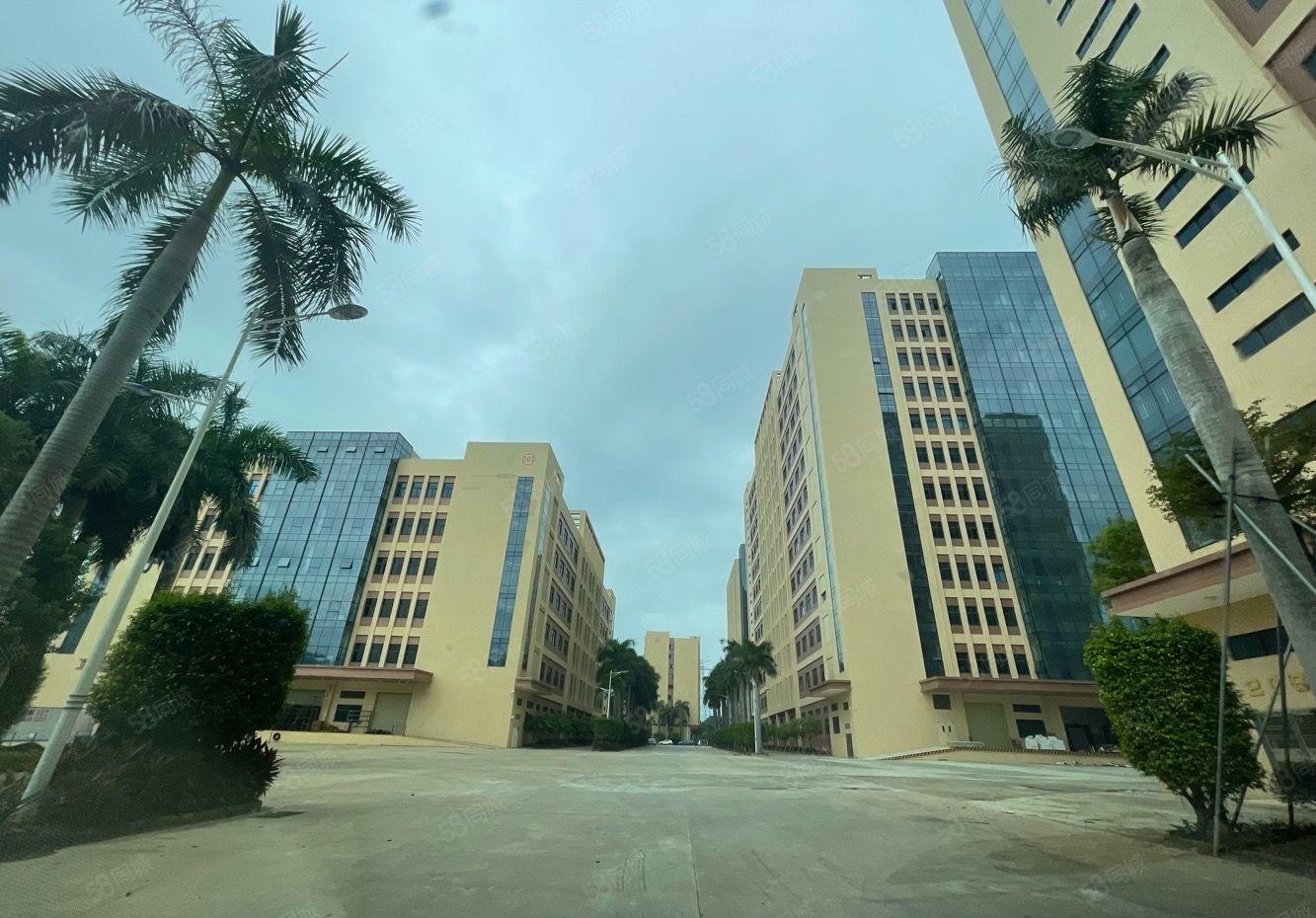 塘厦大坪科苑城 1300平实际面积出租精装厂房  无转让费