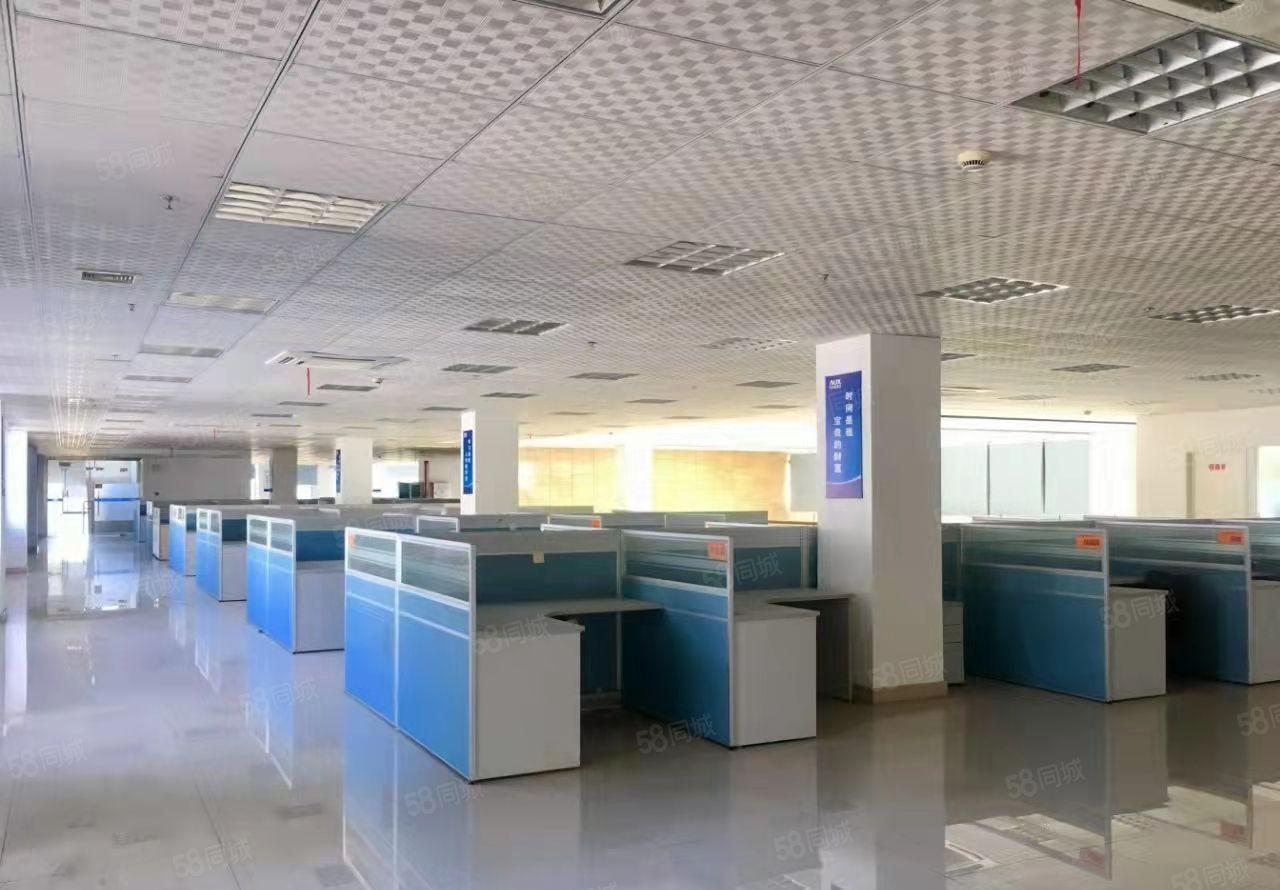 东莞塘厦镇石马新出楼上标准厂房500平米出租