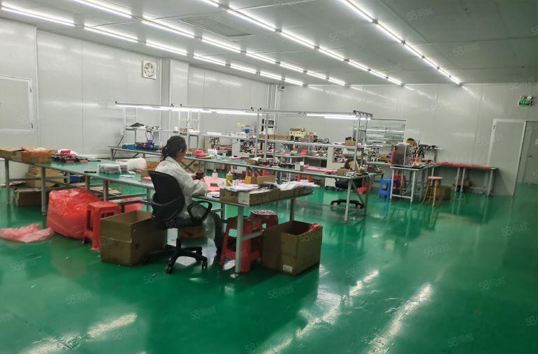 标准厂房出租700平无尘车间消防证件齐全，精装带中央空调