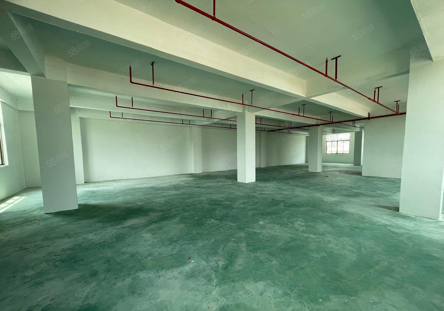 塘厦平山二楼450平9.9元招租，每层一户好管理，空地好进车