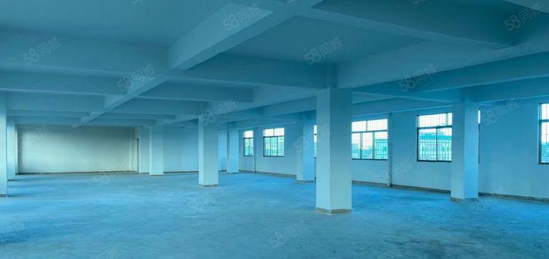 10元塘厦振兴围独栋厂房小面积720平带货梯厂房出租停车位足