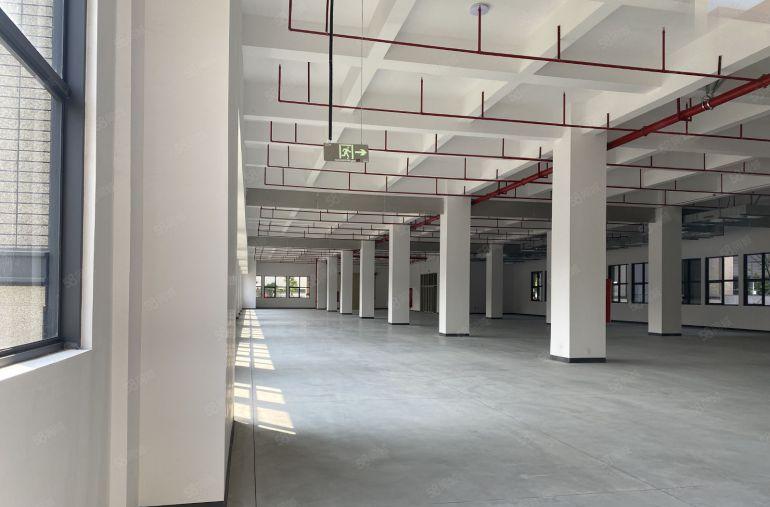 全新红本厂房招租，业主直租可办环评，高速口，配套齐全环境好