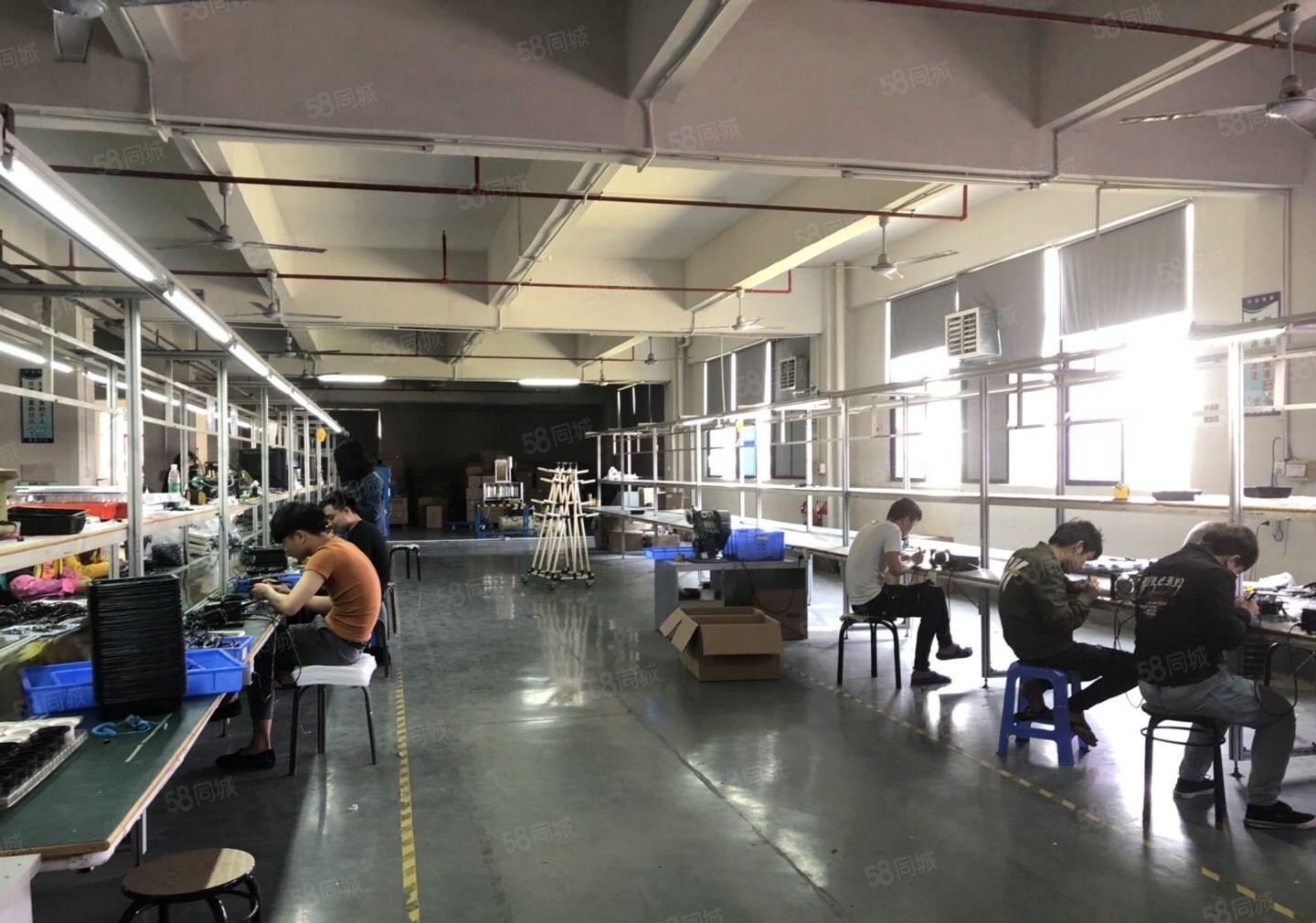 塘厦大坪高速出口大坪原房东楼上1500平带精装修厂房仓库出租