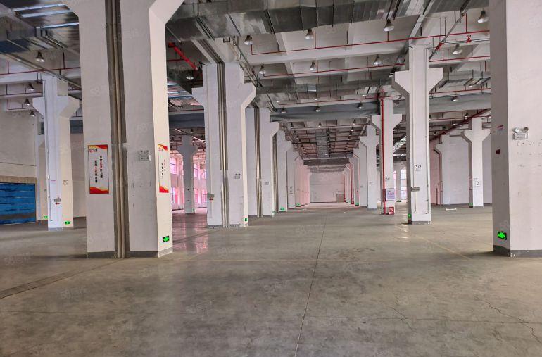 塘厦尾盘原房东急租一楼9米1000平起分租厂房电商仓库出租