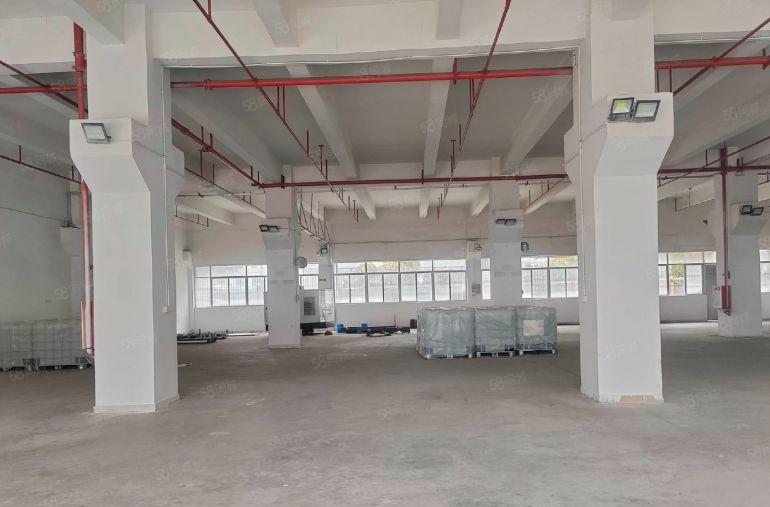 零公摊原房东标准厂房一楼1240平方米，特价出租