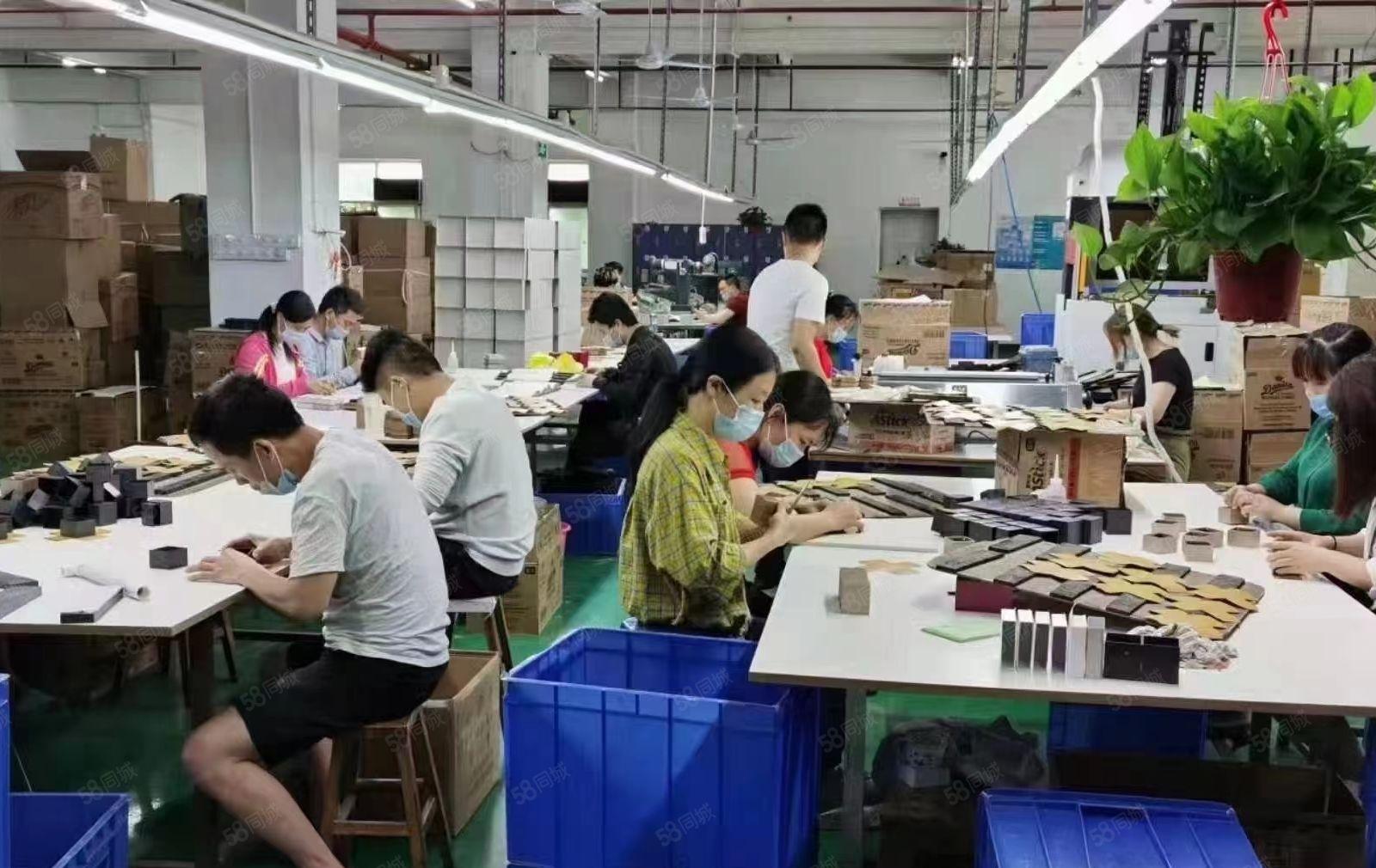 塘厦科苑城新出二楼1200平方，现成装修，水电齐全园区厂房