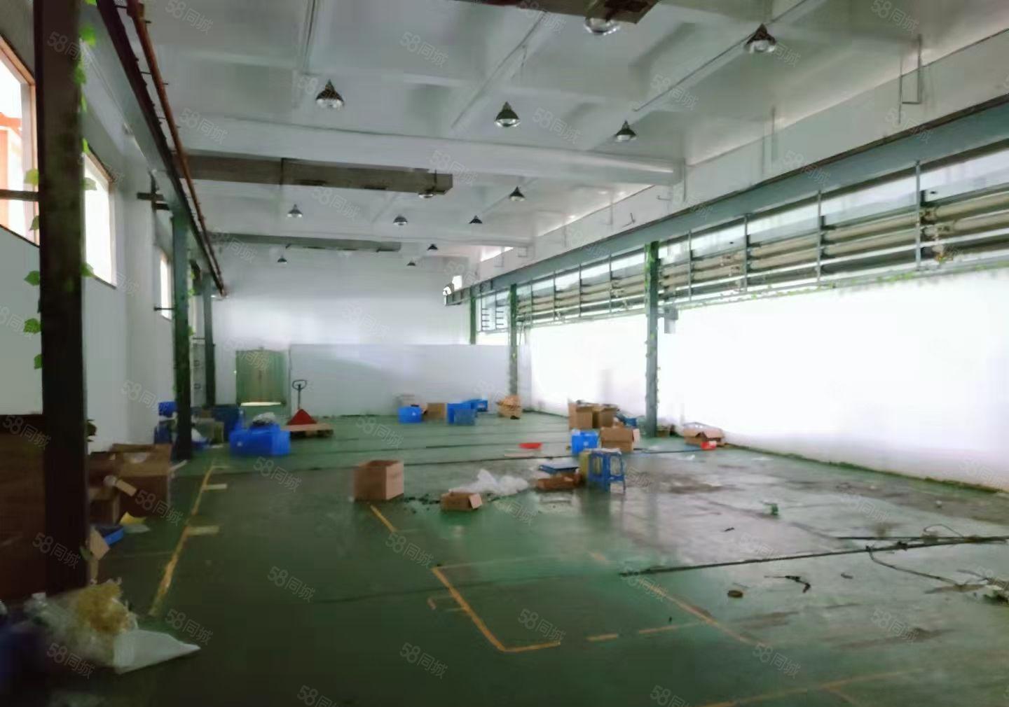 塘厦镇外环高速出口附近原房东一楼2000平方