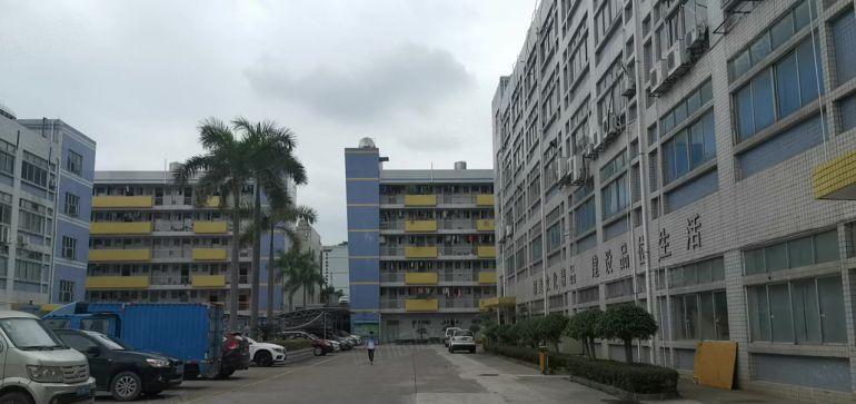 塘厦石鼓工业区800红本平方红本厂房出租可分租，可办环评