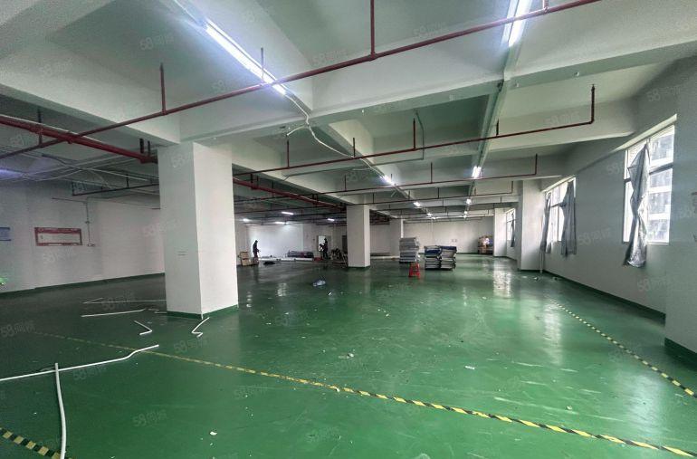 塘厦清湖头标准厂房1650平！隔好办公室精装修，0公摊