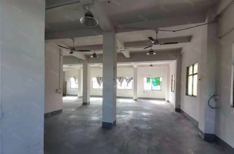 塘厦单一层标准厂房600平方低价出租原房东红本水电齐全