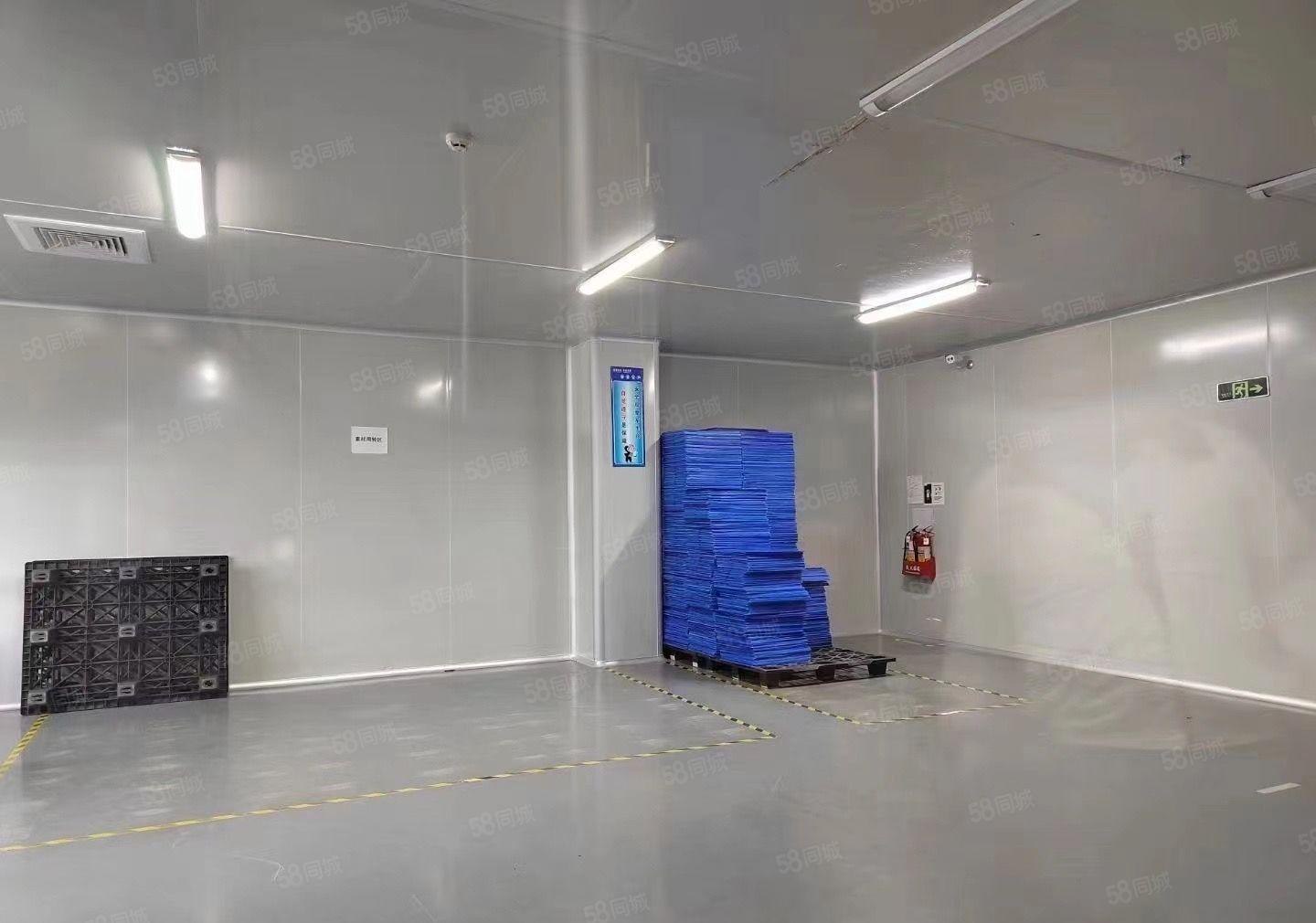 塘厦原房东花园式厂房 面积实在 空地大