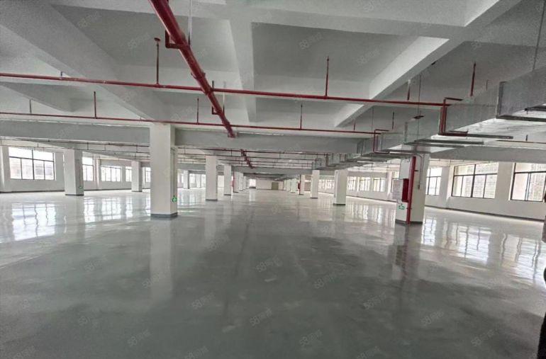 塘厦桥陇原房东直租楼上5000平，全新地坪漆精装修，消防合格