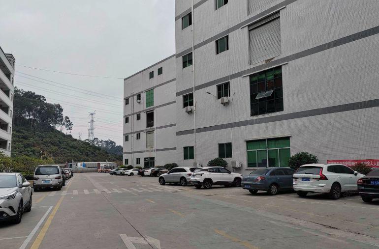 塘厦沙湖精装修楼上标准厂房3300平方出租500平起分租